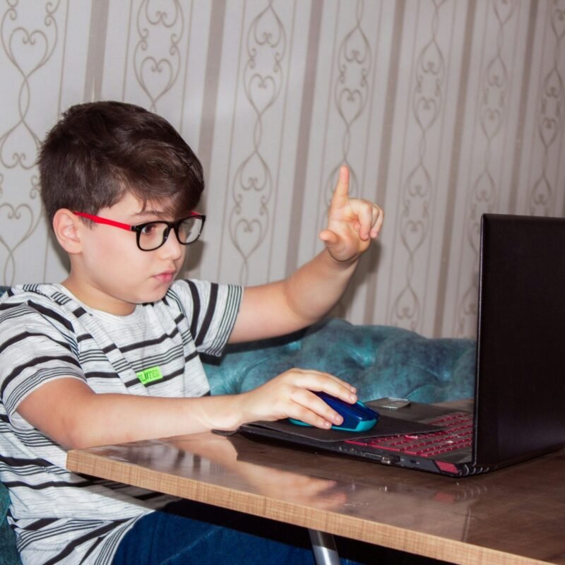 A student receiving online tutoring on a computer.